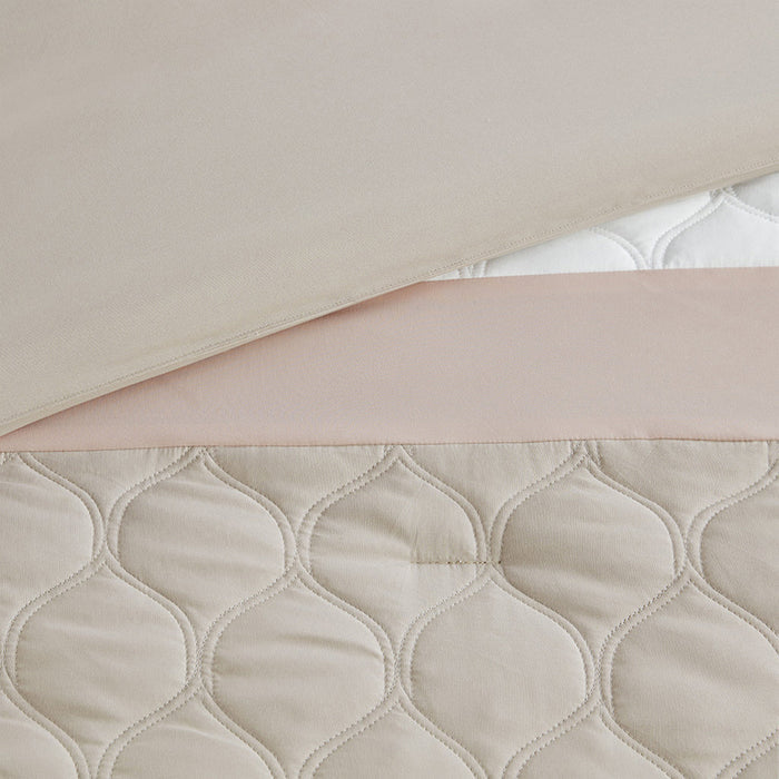 8 Piece Comforter Set Doba