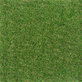 4m