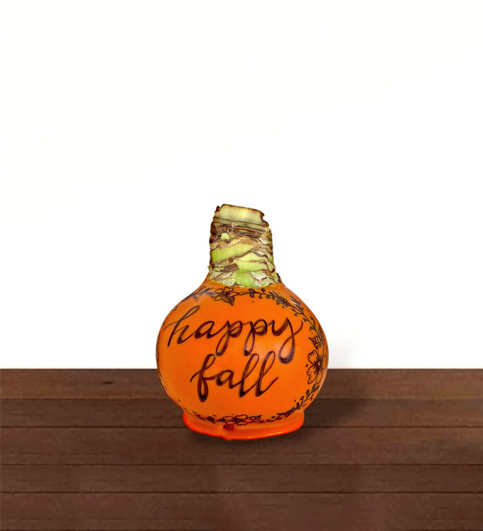 Artisan Decorated Pumpkin Bulb‎ with sovereign blooms