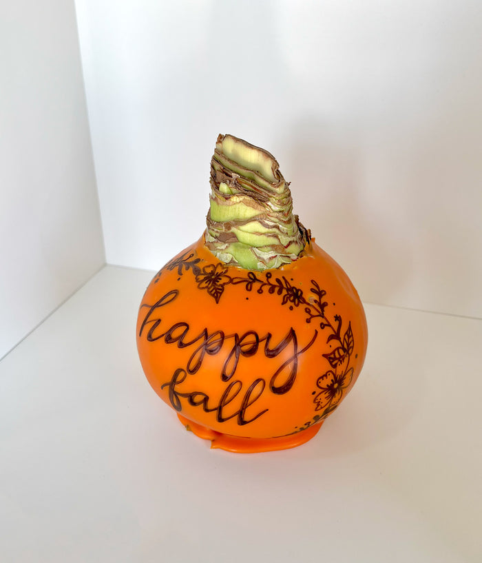 Artisan Decorated Pumpkin Bulb‎ with sovereign blooms