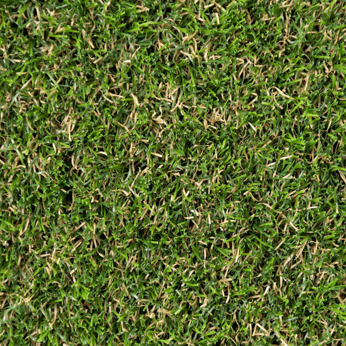 Askham 37mm Artificial Grass