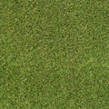 2m