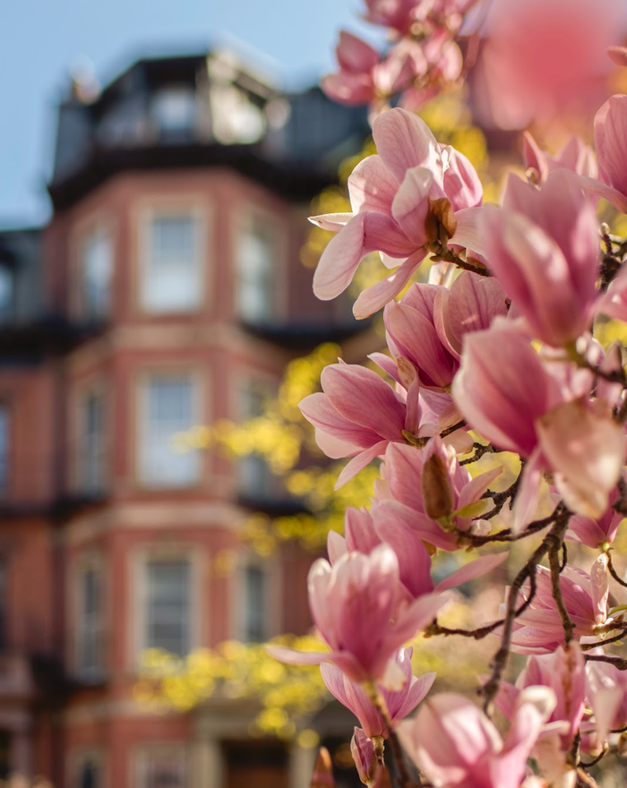 Back Bay Print