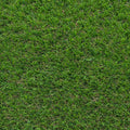 Banbury 28 Artificial Grass 2m