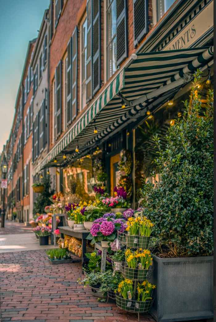 Beacon Hill Flower Shop Print