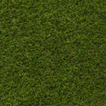 Bloom 40 Artificial Grass