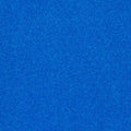 Blue Outdoor Carpet