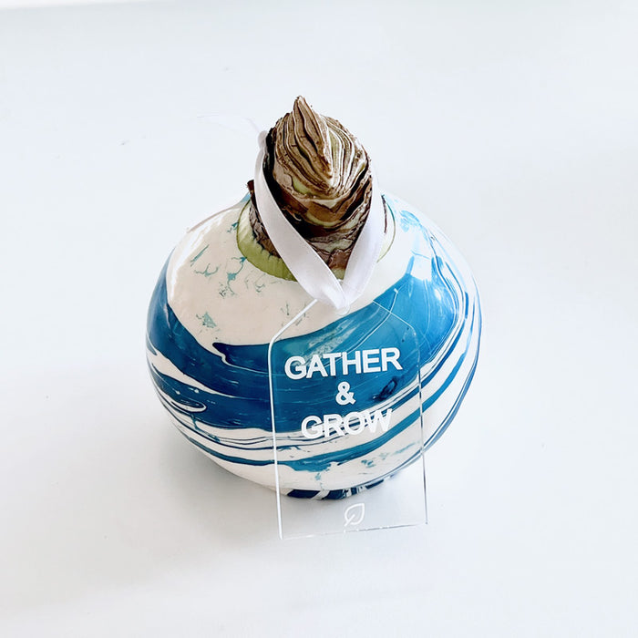 Blue & White Marbled Wax Bulb‎ with white blooms