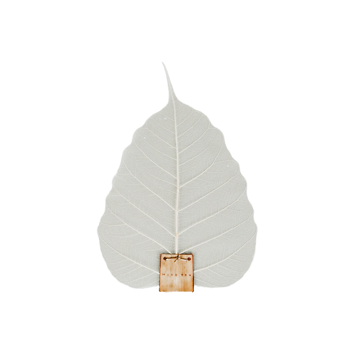 Bohdi Leaf Tea Strainer