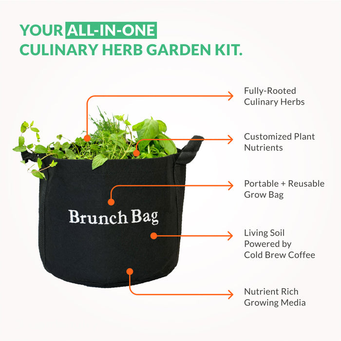 Brunch Bag Garden Kit‎ with seasonal herb plants