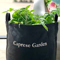 Caprese Garden Kit‎ with tomato + basil plants