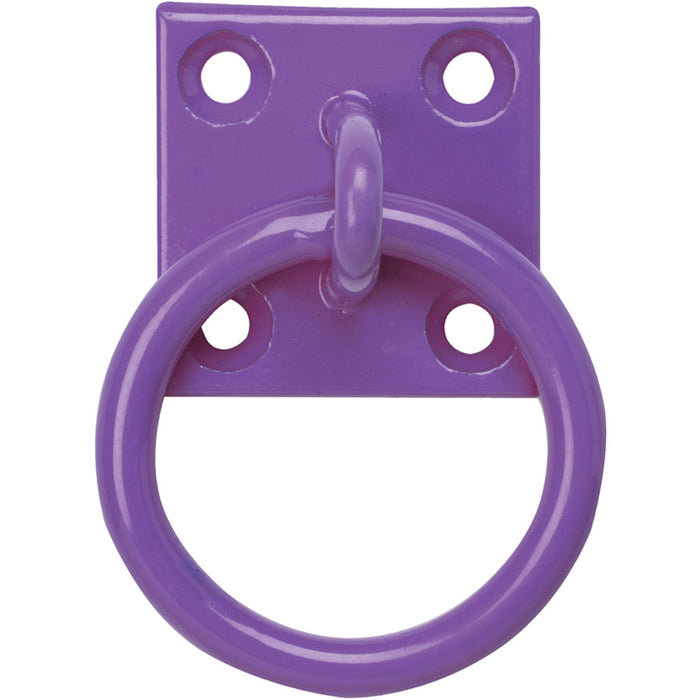 Chain Ring on Plate 50mm x 50mm Heavy-Duty Anchor Point for Stables, Garages & Workshops-Eclipse Fencing