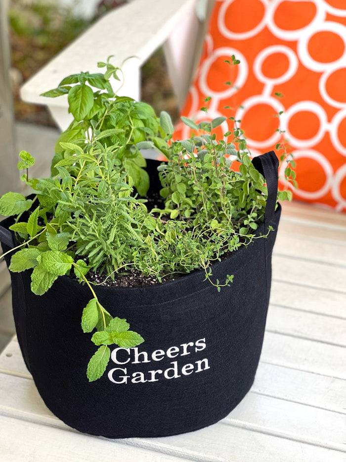 Cheers Garden Kit‎ with cocktail-inspired herbs