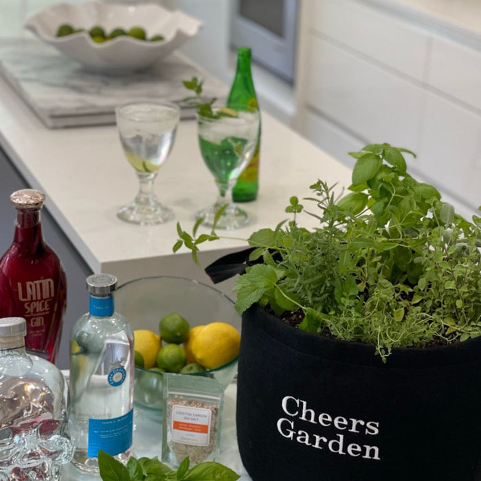 Cheers Giftable Garden