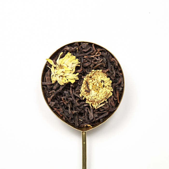 Chrysanthemum Puerh