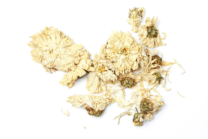 Chrysanthemum