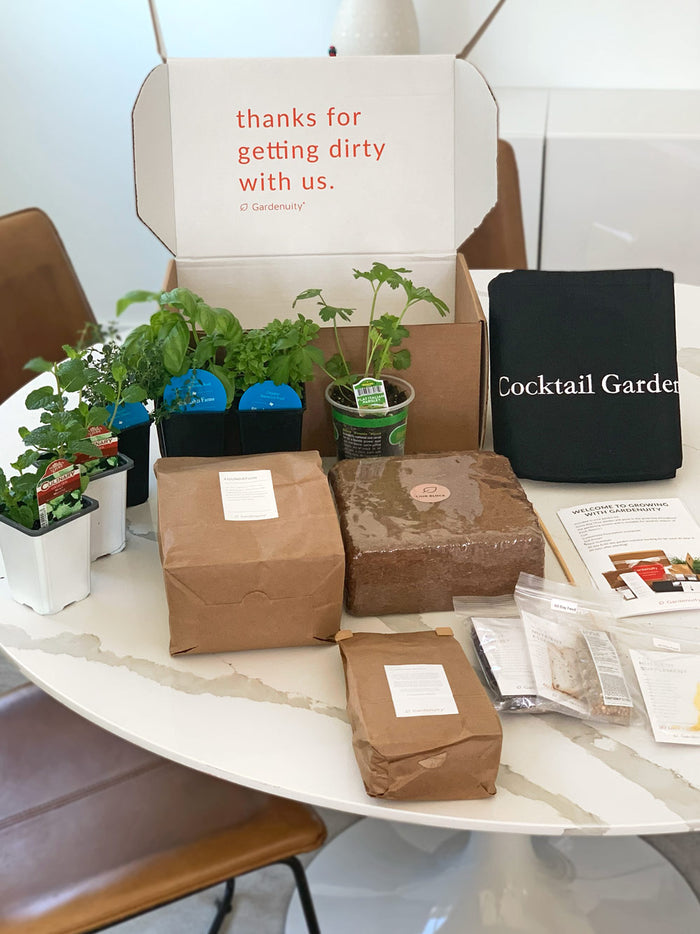 Cocktail Garden Gift Set‎ with 5 O'Clock Box