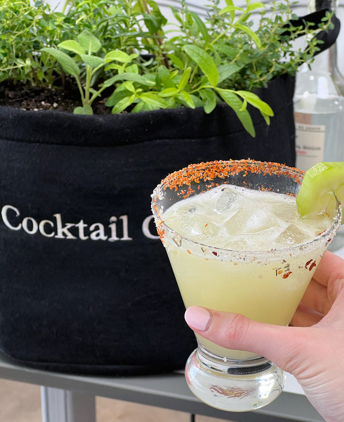 Cocktail Garden Kit‎ with seasonal herbs