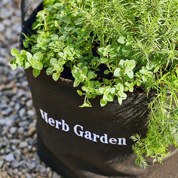 Container Garden Kit