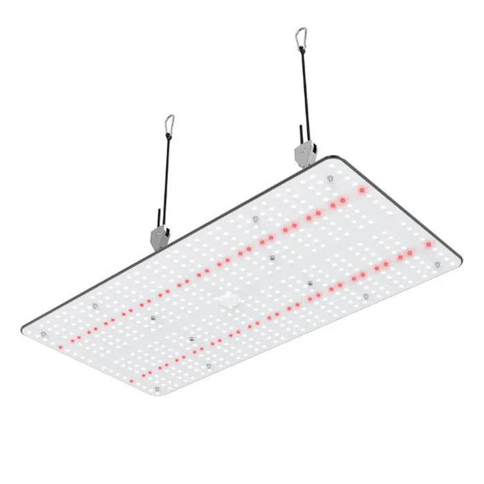 Crecer Lighting QuantumX 240 LED Grow Light