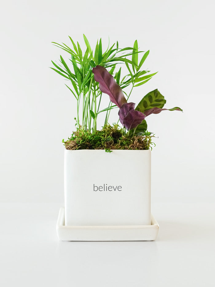 Custom Desktop Garden (DEMO)