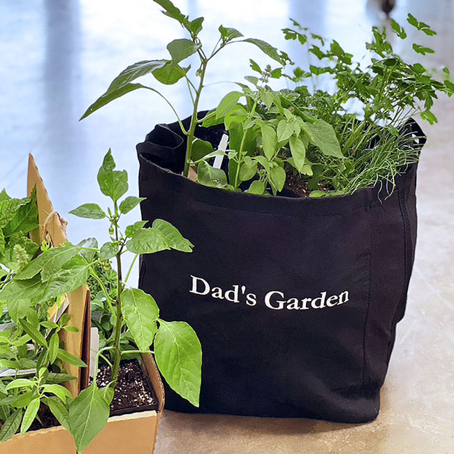 Dad's Garden Kit‎ with pepper + herb plants