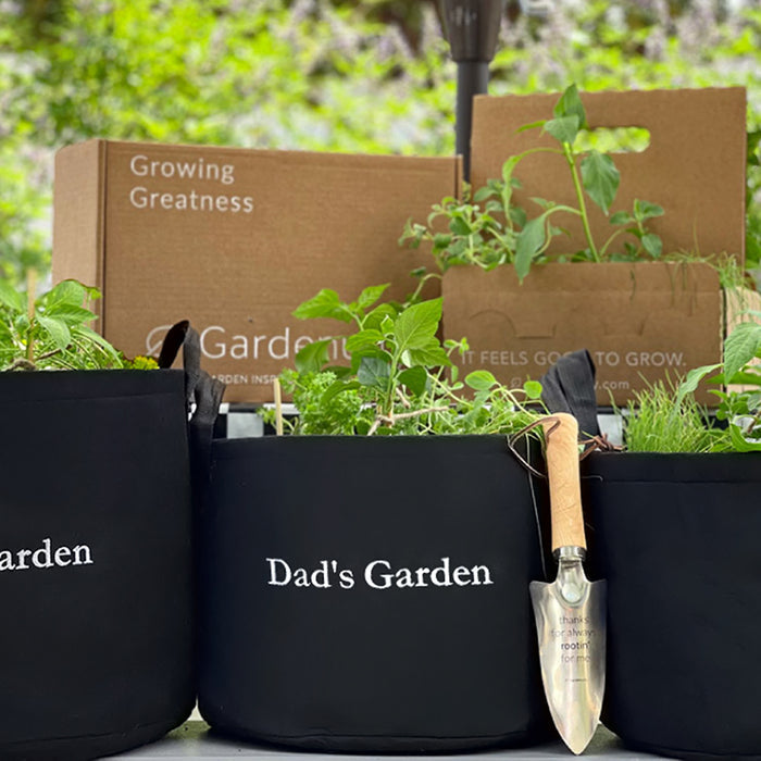 Dad's Garden
