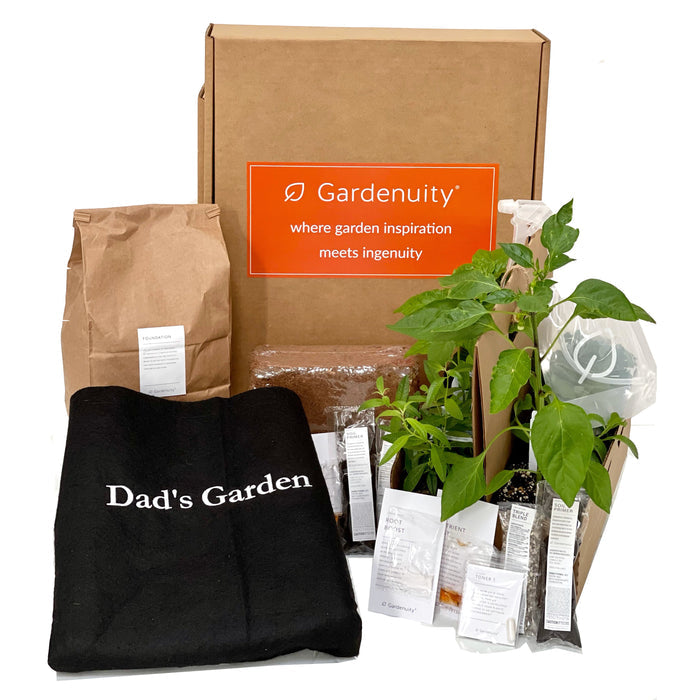 Dad's Garden Kit‎ with tomato + herb plants