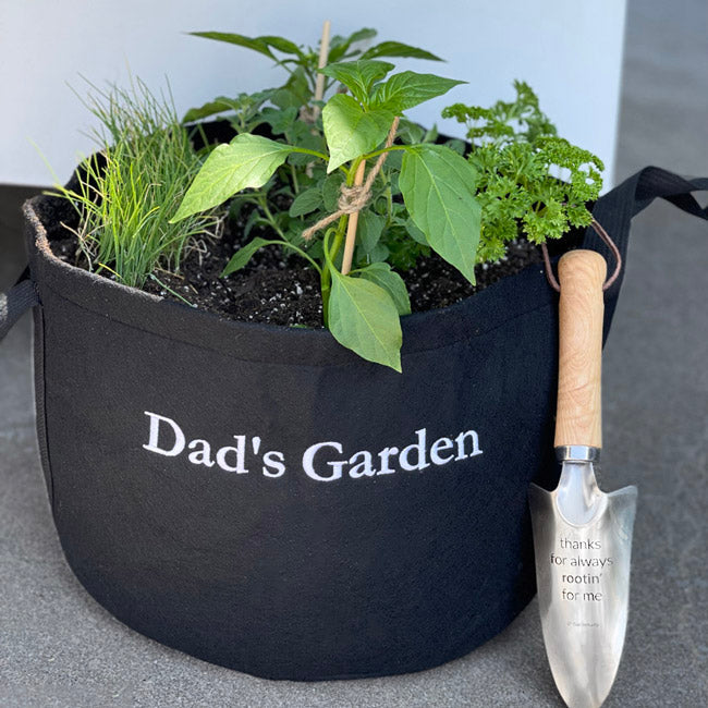 Dad's Garden Kit‎ with tomato + herb plants