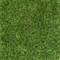 4m