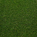 Lassen 30 Artificial Grass