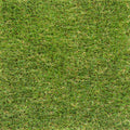 4m
