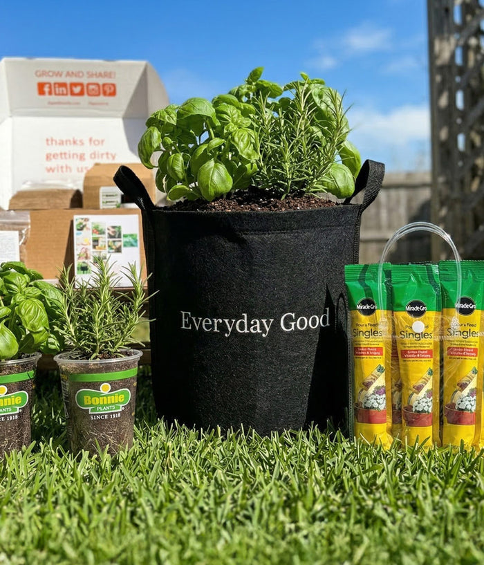 Everyday Good Herb Garden Kit‎ with culinary herb plants