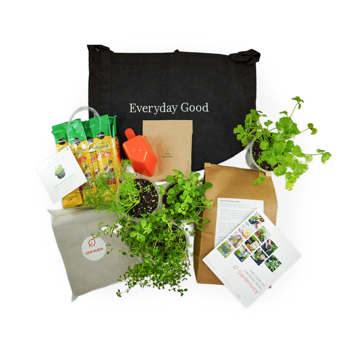 Everyday Good Herb Garden Kit‎ with culinary herb plants