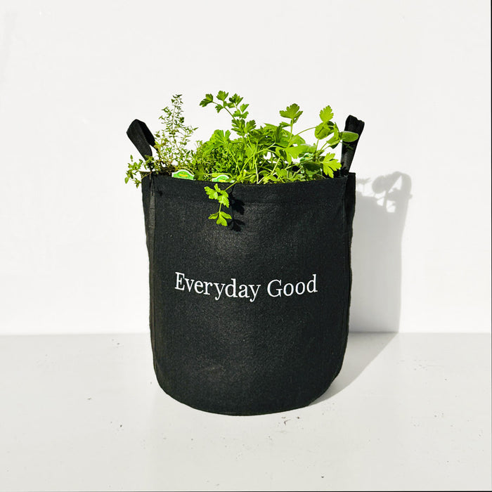 Everyday Good Herb Garden Kit‎ with culinary herb plants