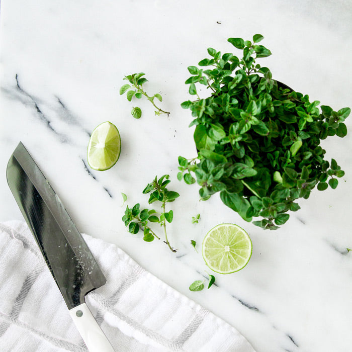 Everyday Good Herb Garden Kit‎ with culinary herb plants