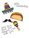 Feliz Cumpleanos  Birthday Card