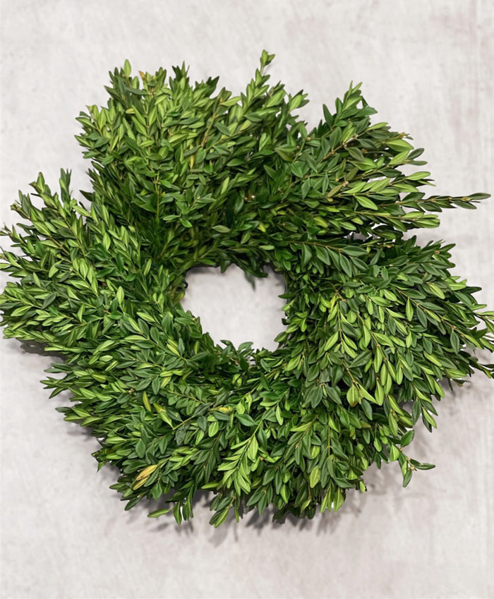 Fresh Boxwood Candle Ring Wreath, 15"