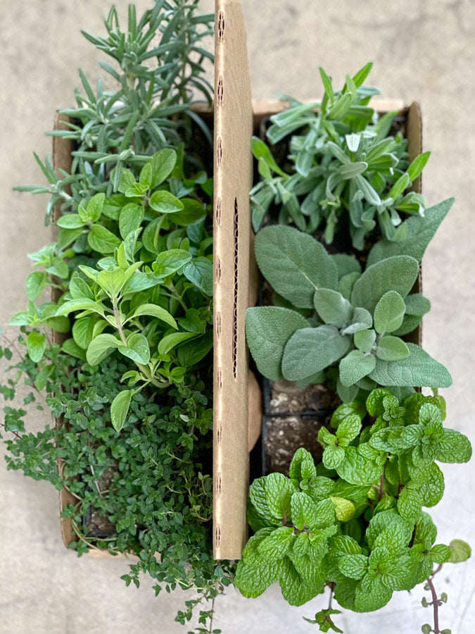 Garden Kit