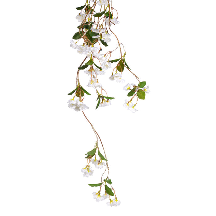 Gold Cream Blossom, 5'