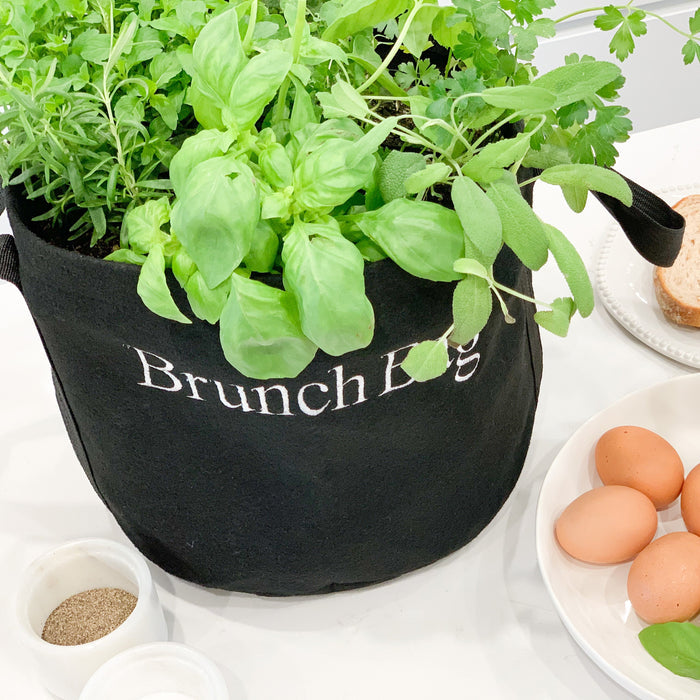 Granny-O-La™ Honey & Brunch Bag Garden Gift Set‎ with culinary herbs + pure honey