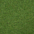 2m