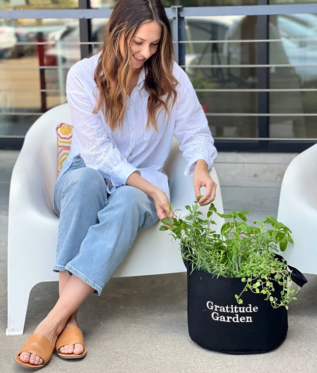 Gratitude Garden Kit‎ with seasonal herbs
