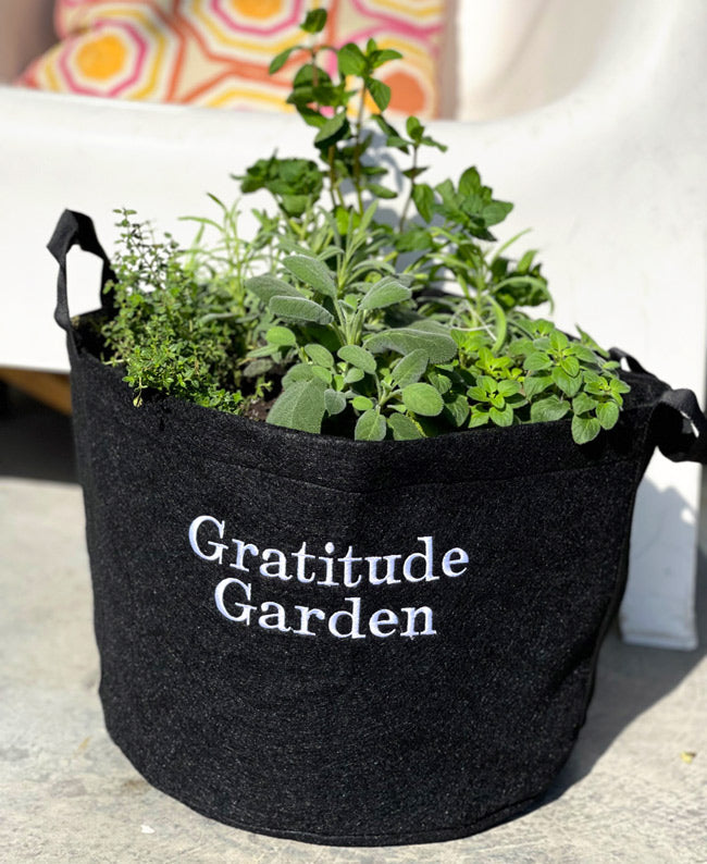 Gratitude Garden Kit‎ with seasonal herbs