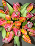 Green Pink Tulip Bundle