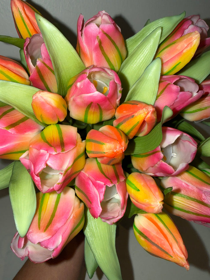 Green Pink Tulip Bundle