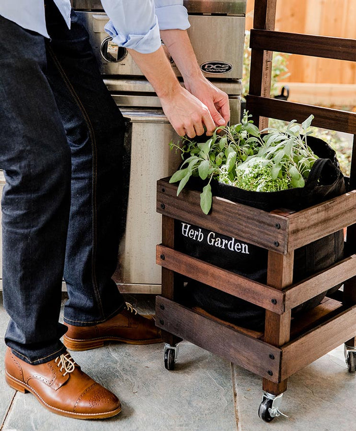 Grow Your Own Garden Kit