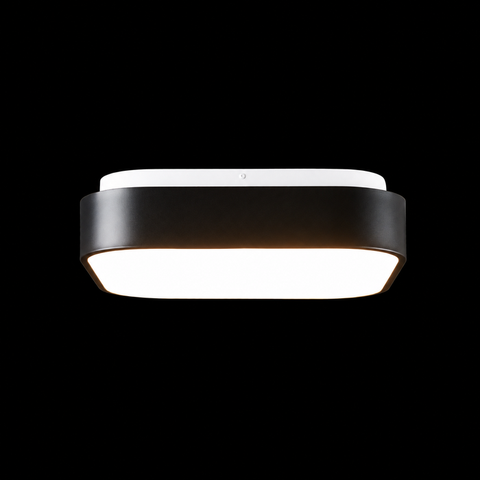 Hadley Ceiling Light
