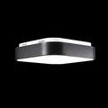 Hadley Ceiling Light