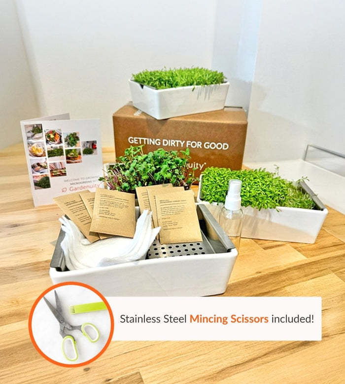 Indoor Microgreens Growing Kit with Mincing Scissors